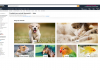 Amazon ha aperto il suo e-petshop