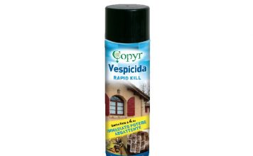 insetticida spray contro le vespe