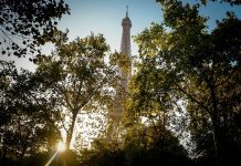 mercato francese del giardinaggio