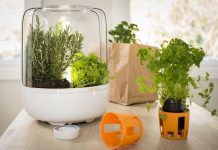 KitchenGarden
