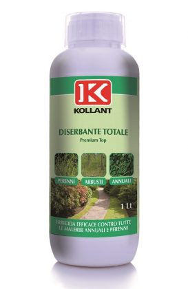 Kollant diventa Adama