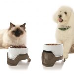 Nuova ciotola per cani e gatti multifunzione ciotola per cani e gatti