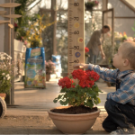 terriccio universale