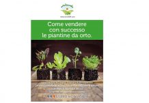 vendere con successo le piantine da orto