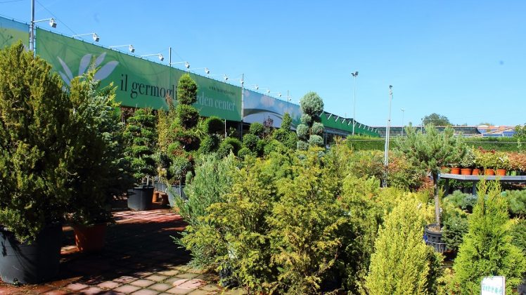 Il Germoglio Garden Center