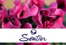 Sentier