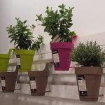 E-smart, il vaso intelligente E-smart