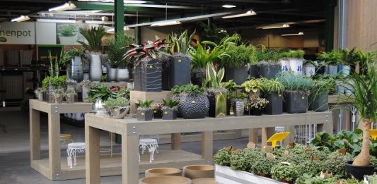 gestione finanziaria del garden center
