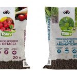 La linea di terricci Torfy si rinnova terricci Torfy