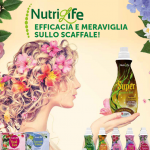 Nutrilife di Zapi Garden: un linea completa di fertilizzanti per il giardino e la casa Nutrilife di Zapi Garden