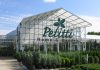 Petitti Garden Center