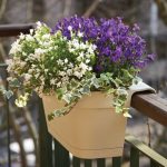 Nasce la balconetta con distanziale regolabile balconetta con distanziale regolabile