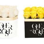 rose in confezione regalo