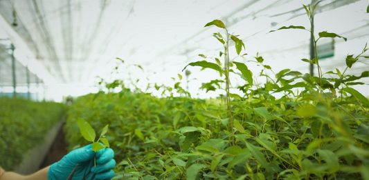 vendere piante di terzi rientra nell'attività agricola