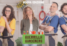 verde in tv
