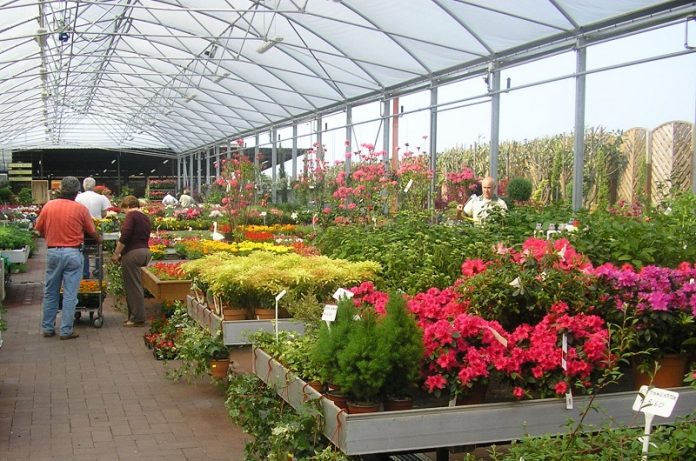 regolamentazione dei garden center in Lombardia