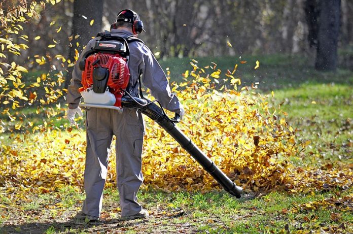 vendite di macchine per il verde