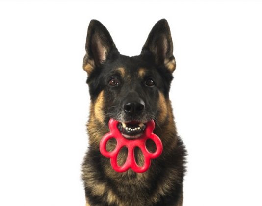 gioco per cani in materiale atossico