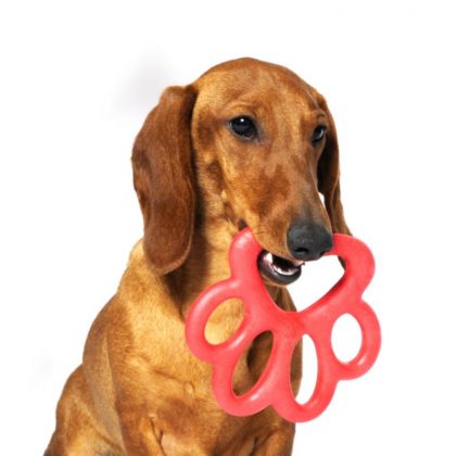 gioco per cani in materiale atossico