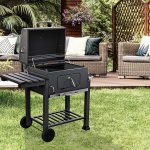 barbecue Arizona Evergreen