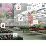 sistema di automazione per serre