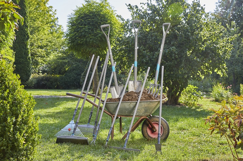 Attrezzi base da giardinaggio