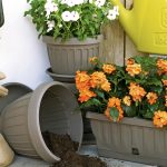 vasi color cappuccino