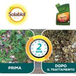 Solabiol diserbante totale biologico Beloukha Garden PFnPO diserbante totale biologico