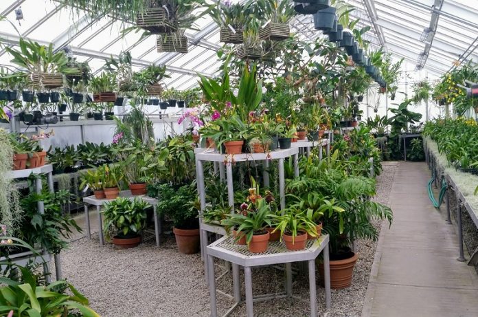 garden center più sostenibili