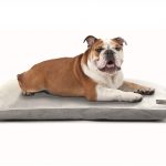 cuscino antibatterico per animali