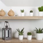 Le novità di Idel a Spoga+Gafa novità di Idel