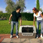 Trasportino per auto Easy Tour: comodo, sicuro e di design