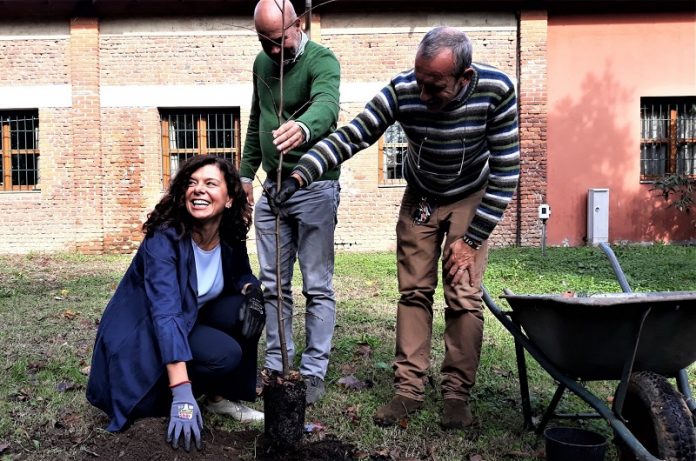 Il Bosco di Myplant