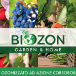 Biozon