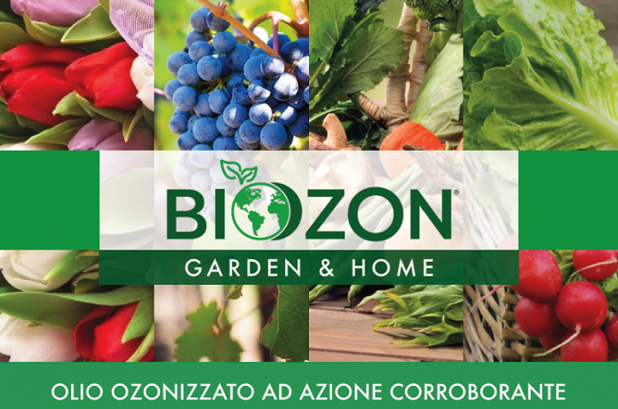 Biozon