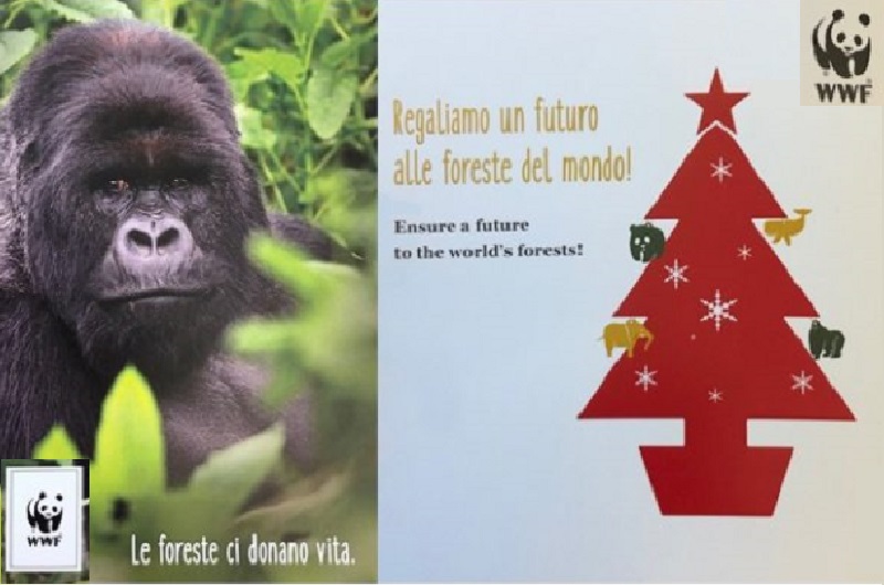 Biglietti Di Natale Wwf.Copyr E Wwf Per La Sostenibilita Ambientale Green Retail