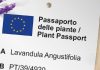 passaporto per le piante