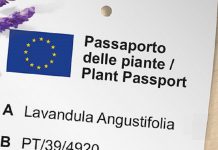 passaporto per le piante