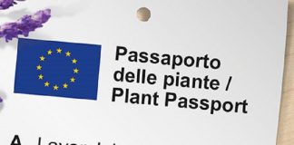 passaporto per le piante