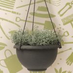 Basket: il nuovo vaso pensile a ciotola vaso pensile a ciotola