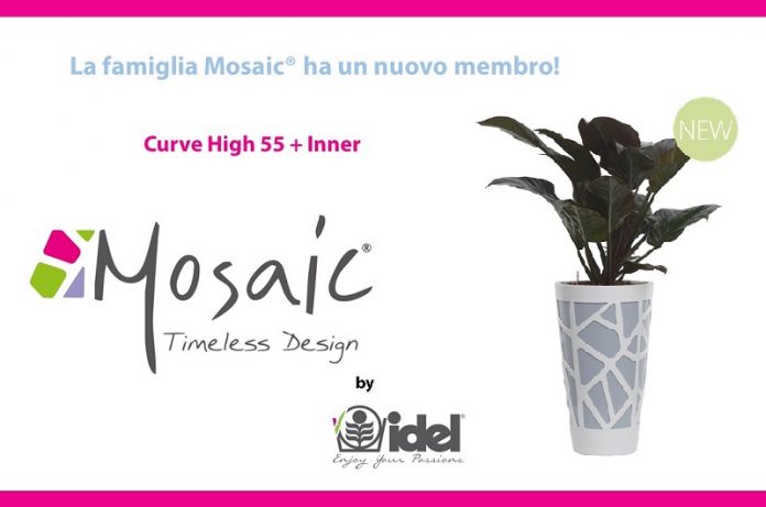 Mosaic Curve High 55 + Inner