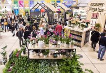 Ipm Essen