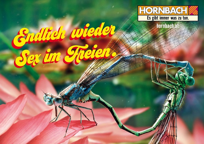 pubblicità di Hornbach