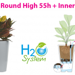 Round High 55h