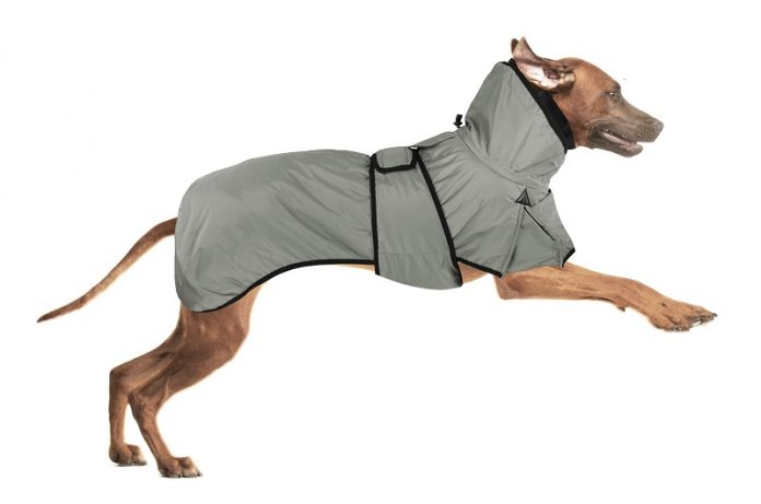 abbigliamento tecnico per cani