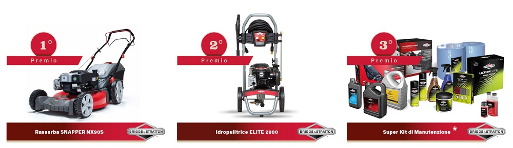 This Is The Challenge il concorso 2020 di Briggs Stratton