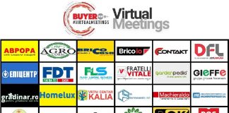 appuntamenti virtuali di Buyer Point