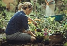 ricerca di mercato sul giardinaggio