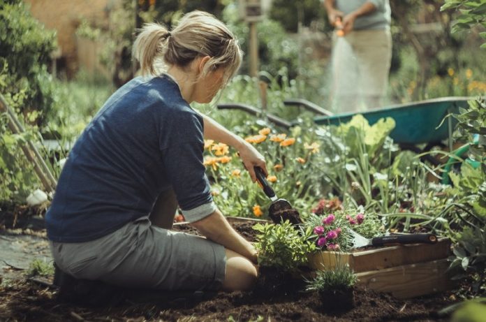 ricerca di mercato sul giardinaggio