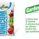 substrato universale